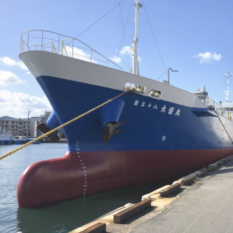 徳島の海運会社-大盛丸の求人情報と船舶情報-